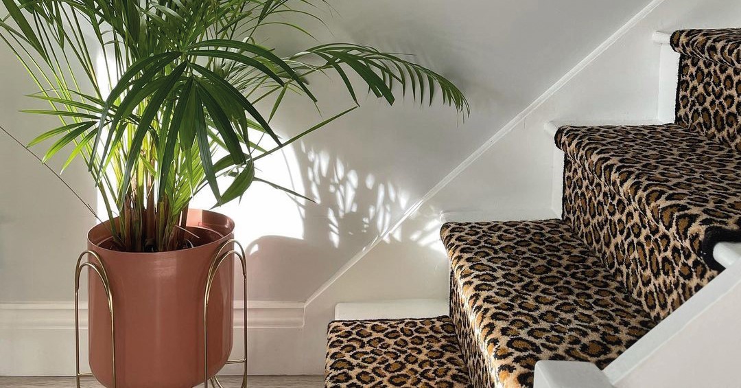 Leopard print stair runner on a white traditional wooden stair case with a green plant